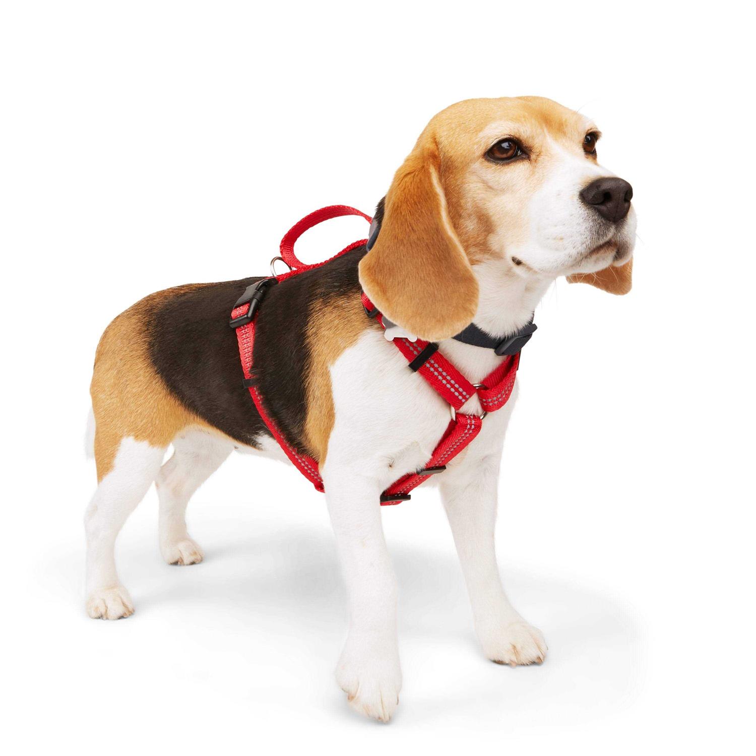 Alternative view of Youly Reflective Dog Harness