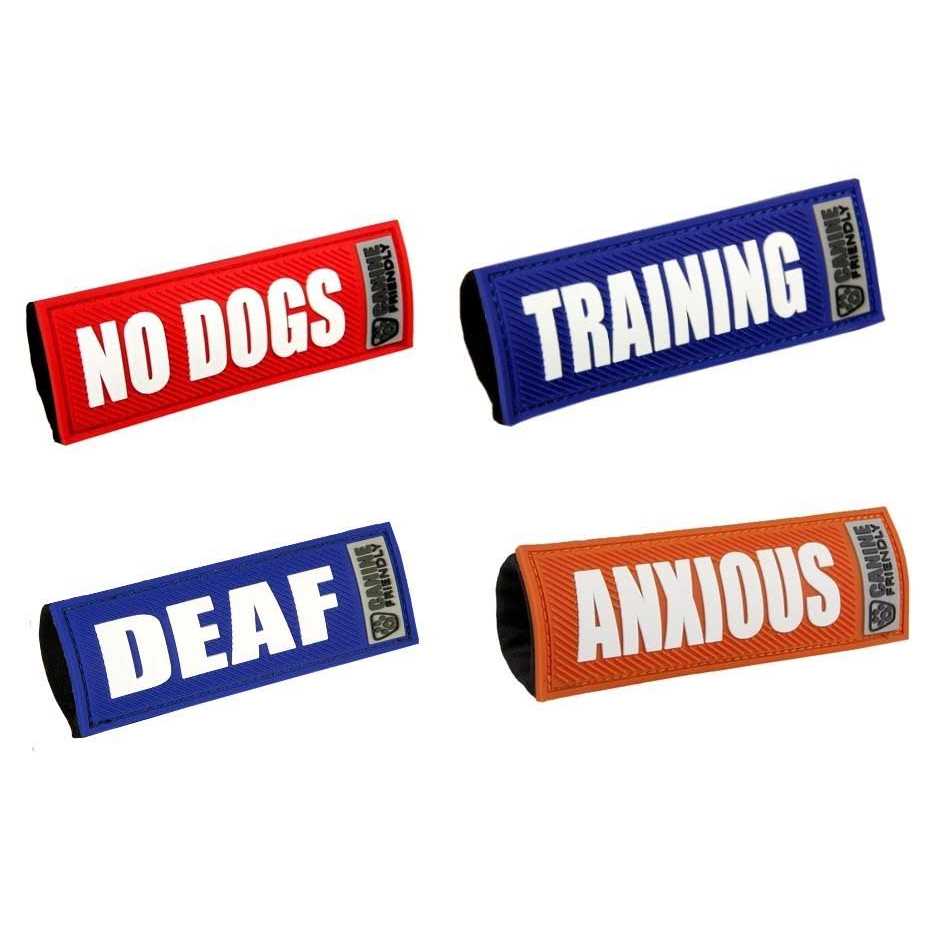 Alternative view of Bark Notes Dog Collar and Leash