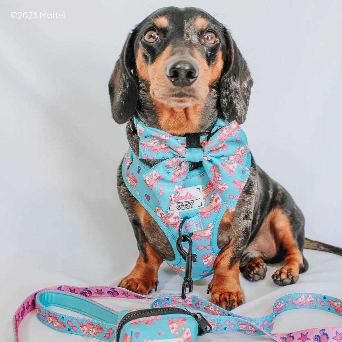 Alternative view of Barbie Dog Collar Sassy Woof