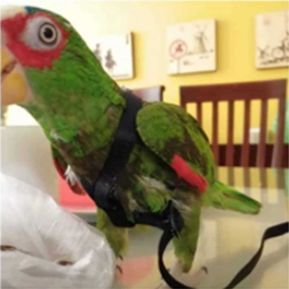Alternative view of Anelekor Adjustable Birds Harness and Leash Parrot Harness Leash Training Supplies Pet Anti-bite Outdoor Flying Rope for Conures Budgerigar Lovebird