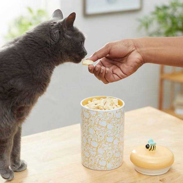Alternative view of Disney Winnie the Pooh Ceramic Dog & Cat Treat Jar