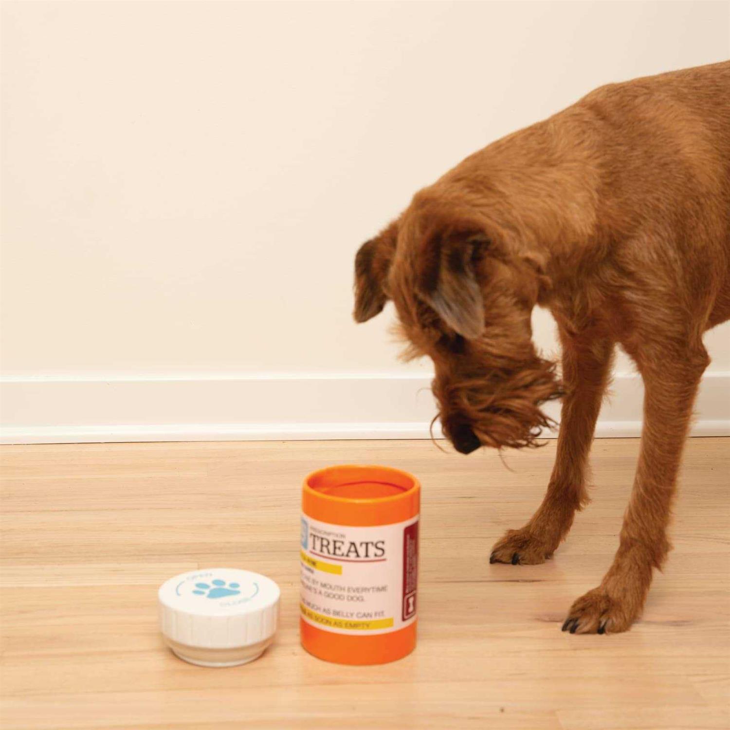 Alternative view of Bigmouth Inc Prescription Treat Jar
