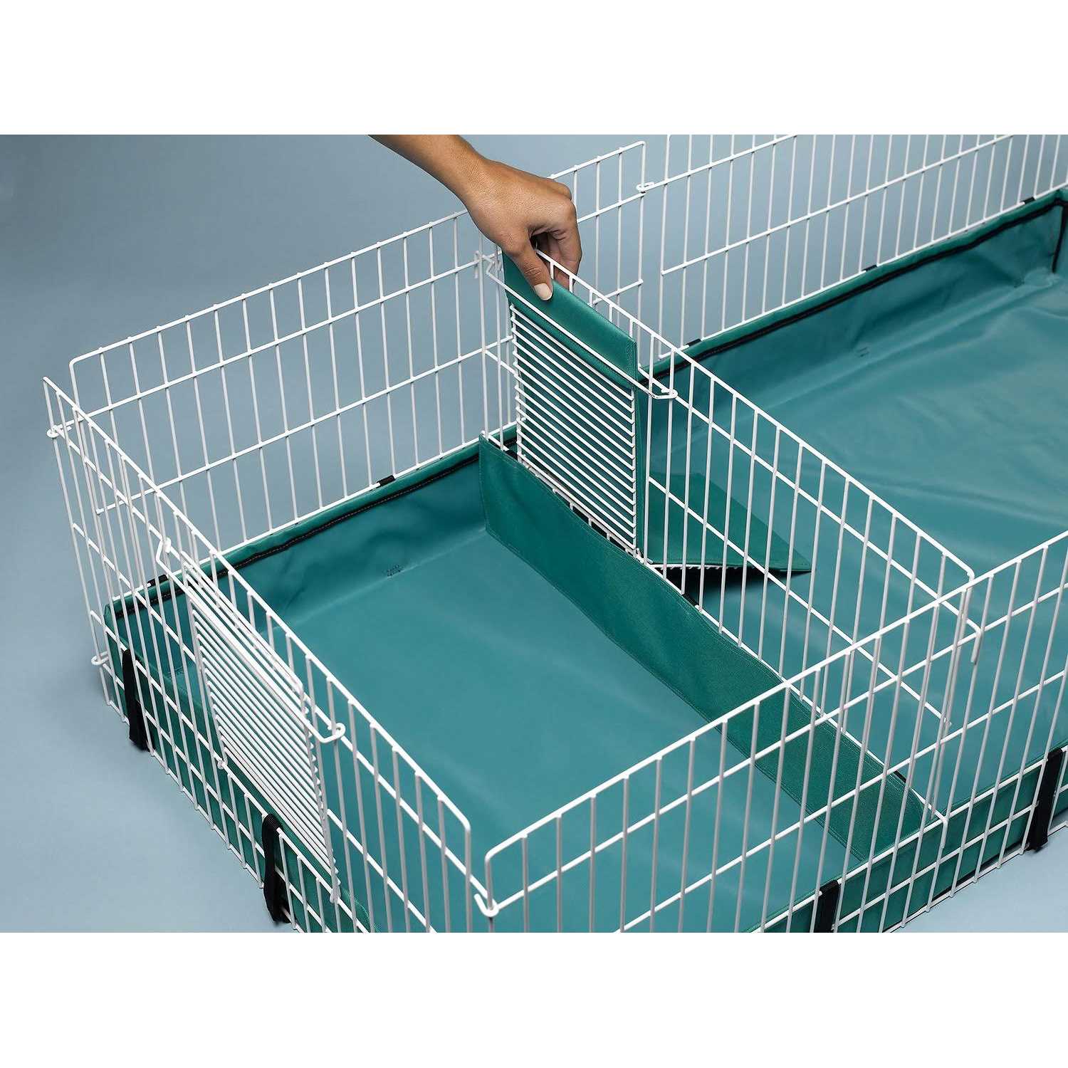 Alternative view of MidWest Guinea Pig Habitat Plus