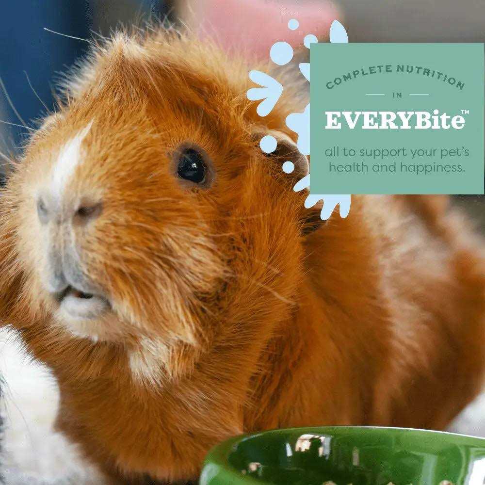 Alternative view of Oxbow Essentials Adult Guinea Pig Food