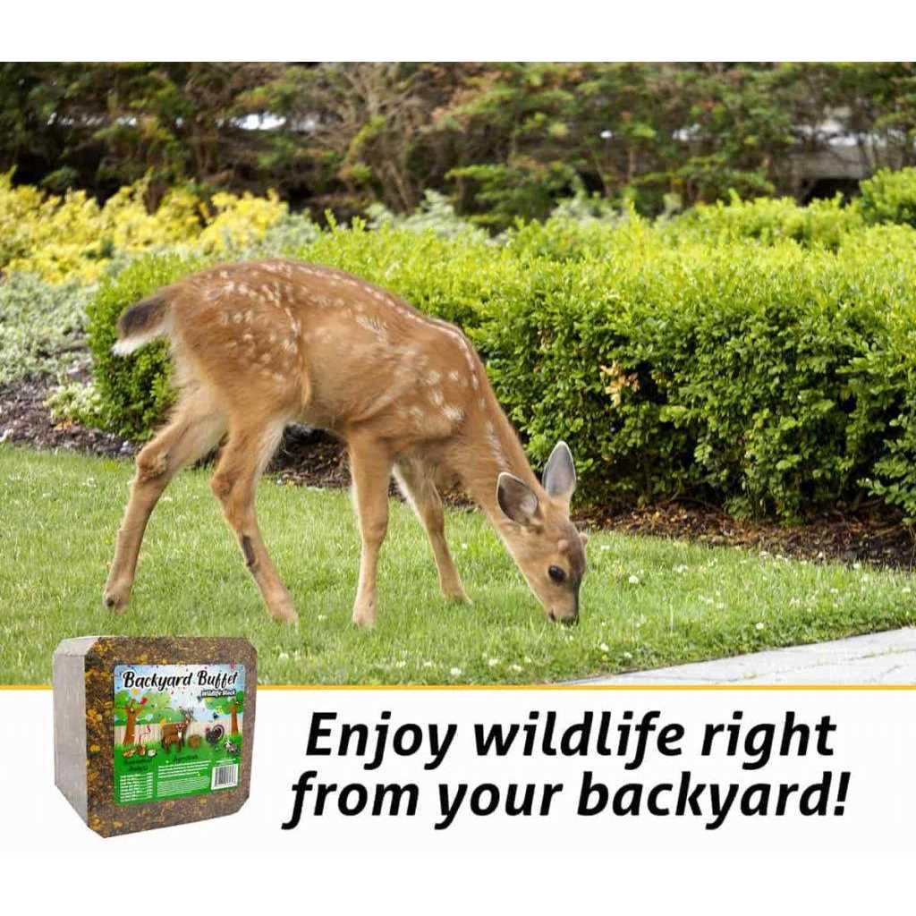 Alternative view of Backyard Buffet Wildlife Treat