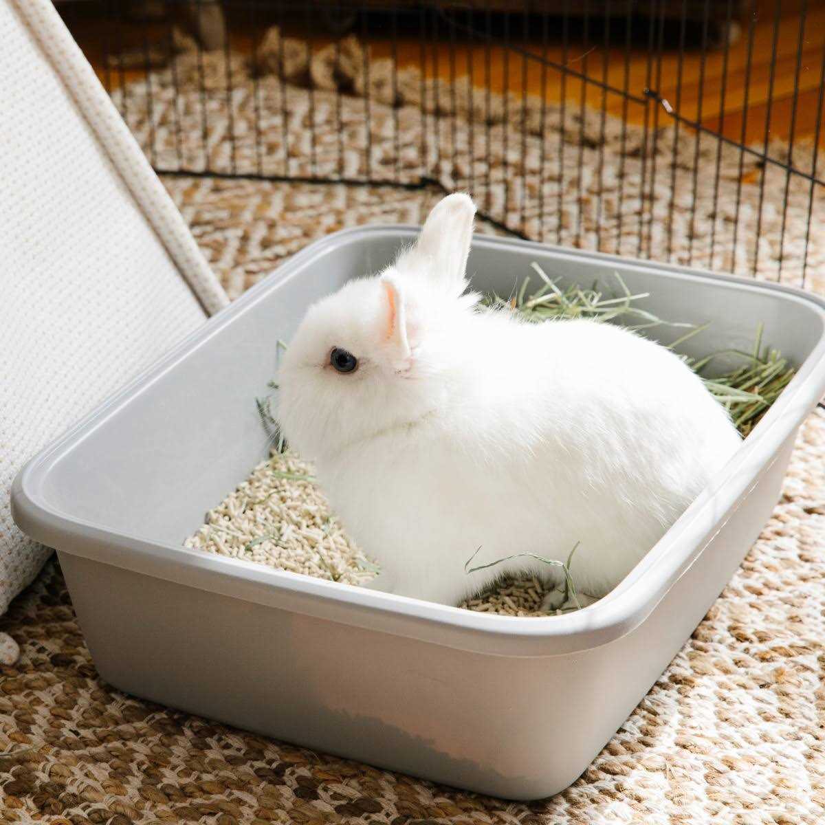 Alternative view of Carefresh Litter Rabbit & Ferret