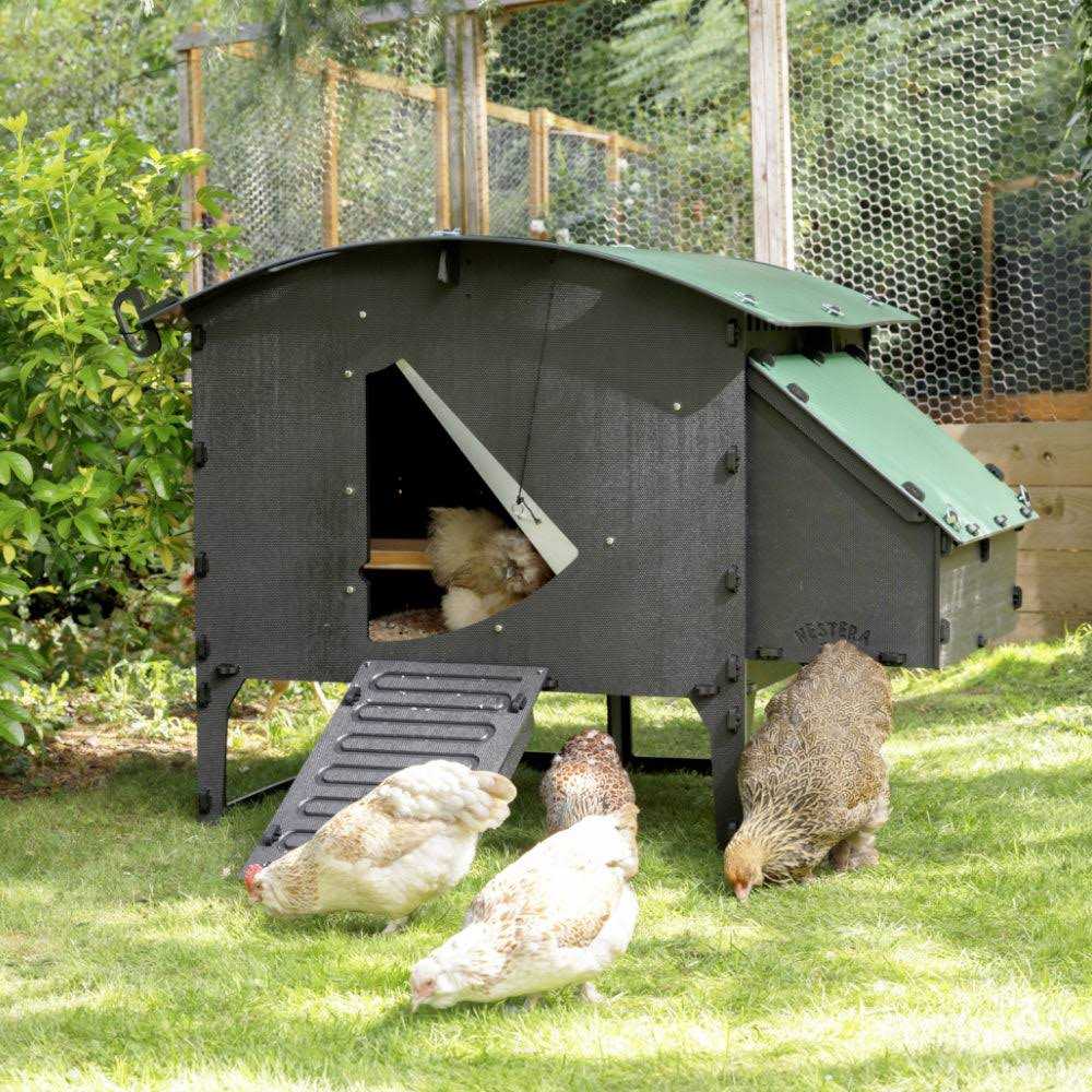 Nestera Lodge Chicken Coop