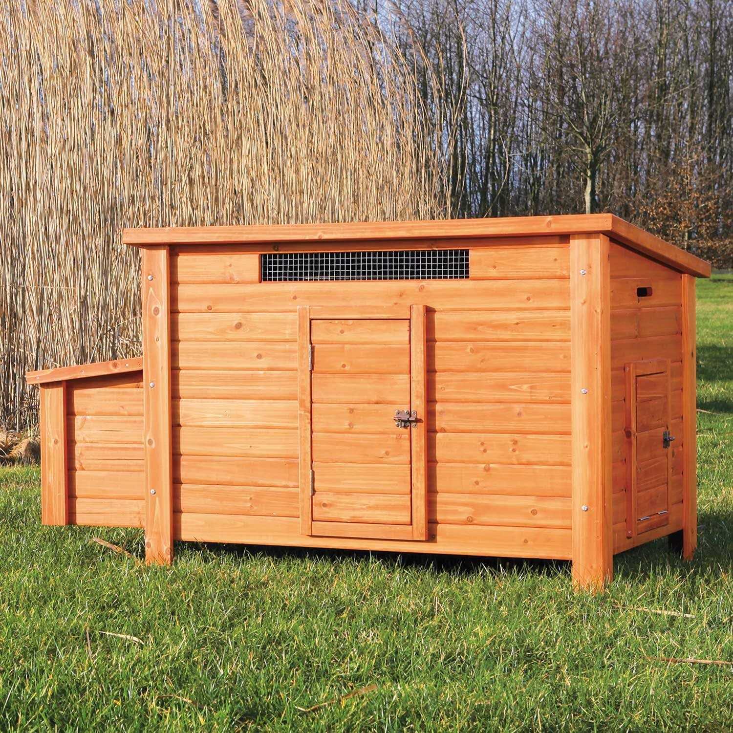Alternative view of Trixie Chicken Coop