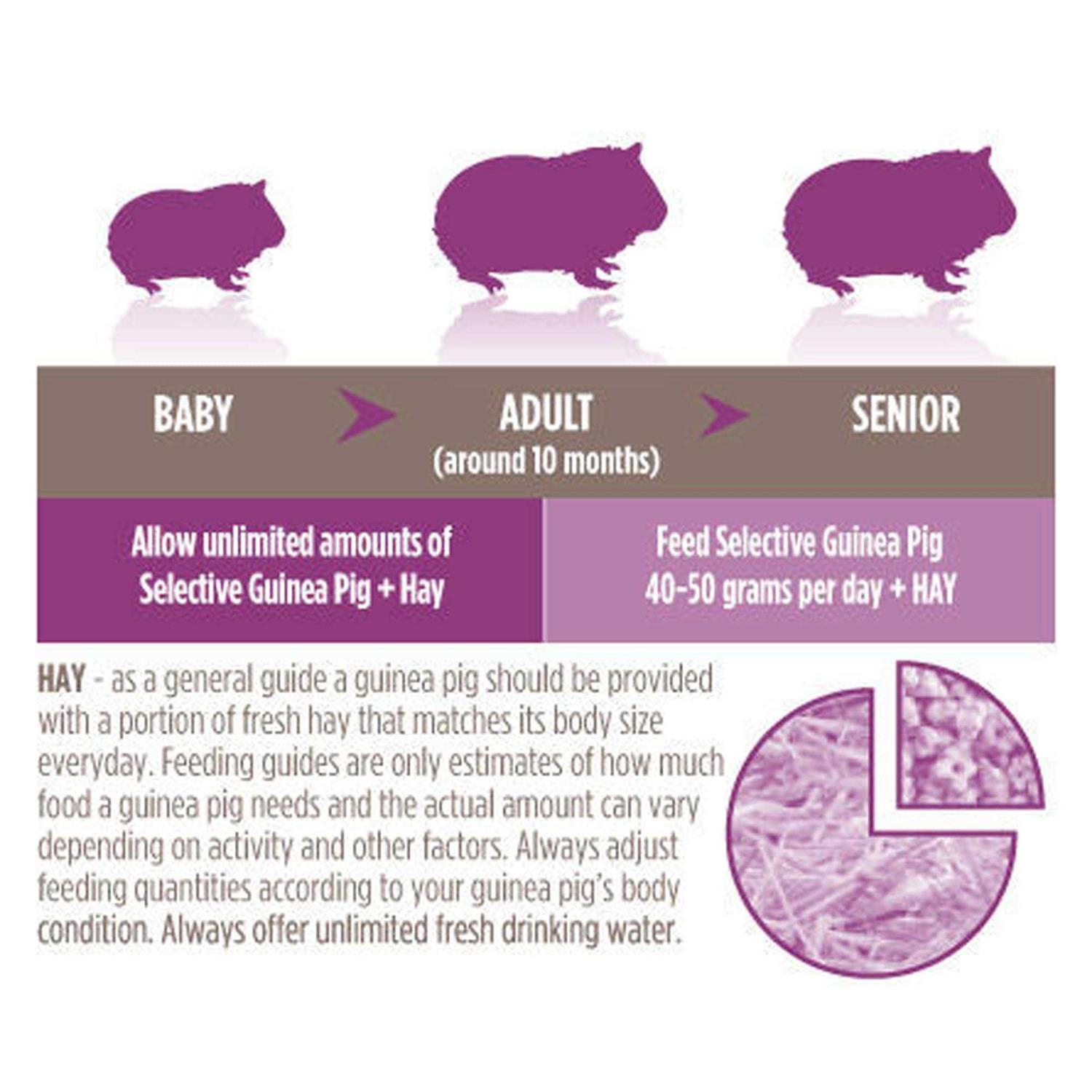 Alternative view of Science Selective Guinea Pig Food