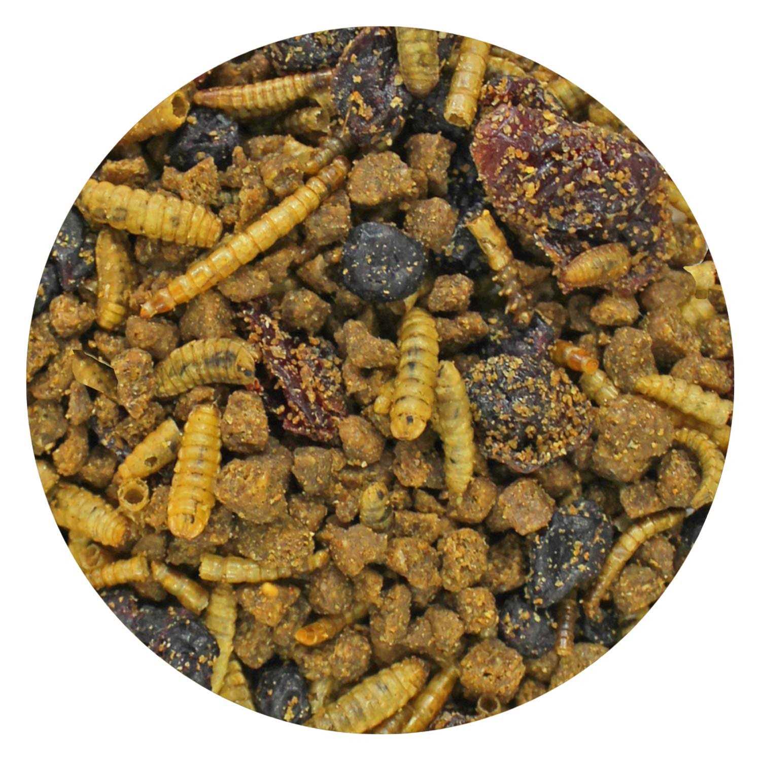 Alternative view of Exotic Nutrition Berries & Bugs Insectivores Food