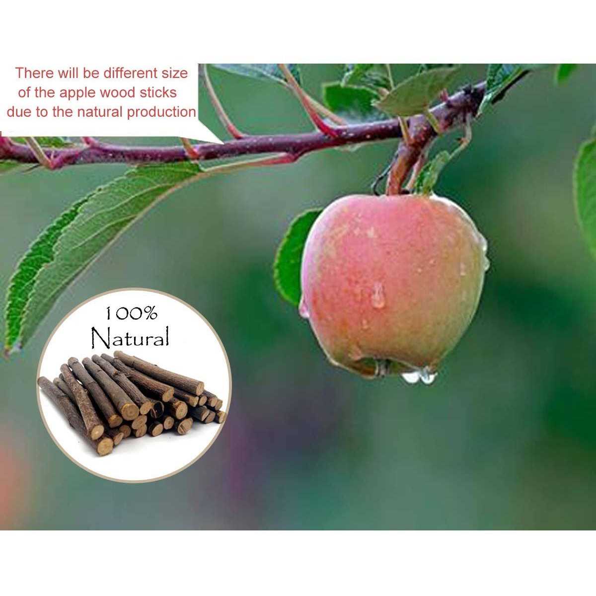 Alternative view of 500g Organic Apple Sticks for Rabbits Wood Tree Branches Pet Snacks Chew Toys Branch for Guinea Pigs Chinchilla Squirrel Bunny Hamster Small Animals
