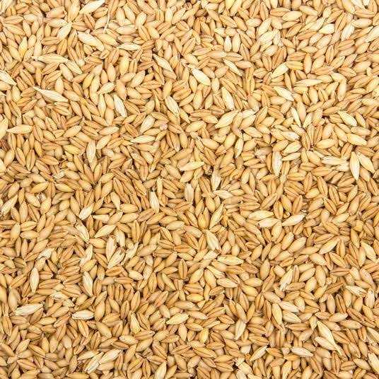 Alternative view of Azure Market Organics Whole Barley Animal Feed Organic