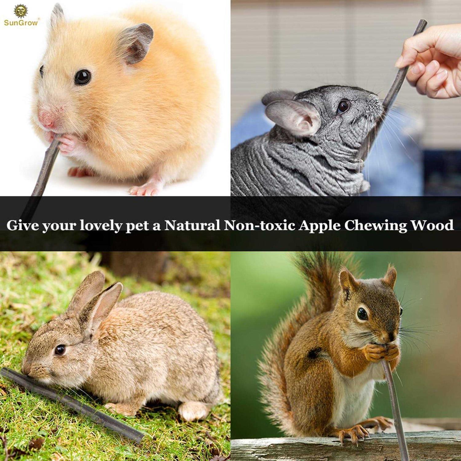 Alternative view of SunGrow Apple Sticks 200g Wood Chew Sticks for Rabbits Chinchillas