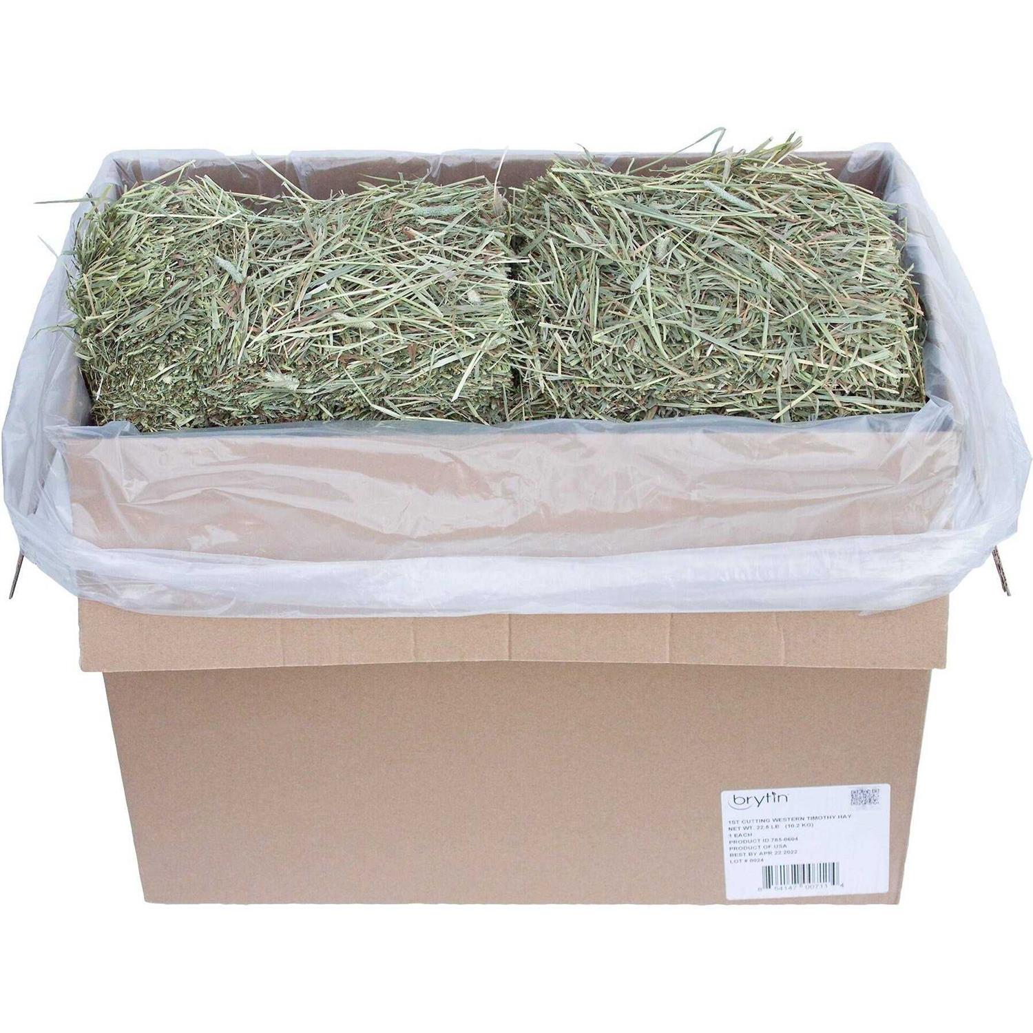 Brytin 1st Cutting All-Natural Western Timothy Hay Chinchilla Food