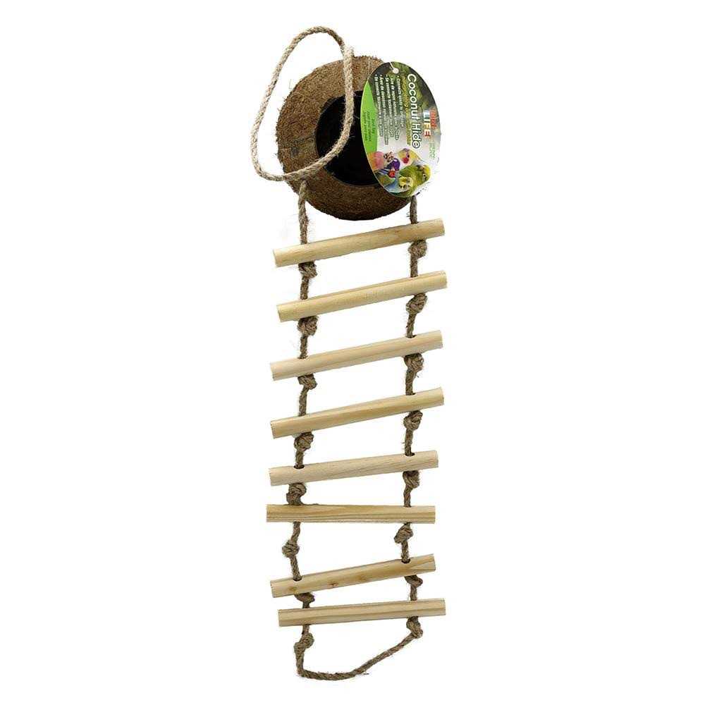 Alternative view of Penn Plax Coconut Coco Hide with Ladder