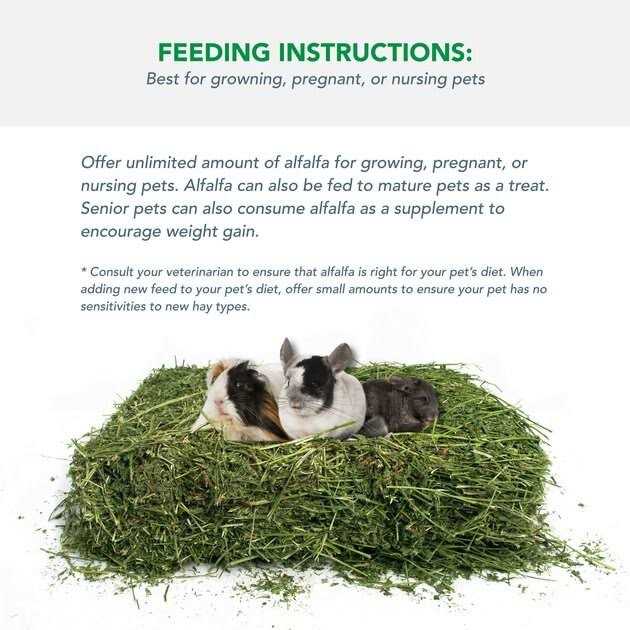 Alternative view of Viking Farmer Alfalfa Hay for Rabbits & Small Pets