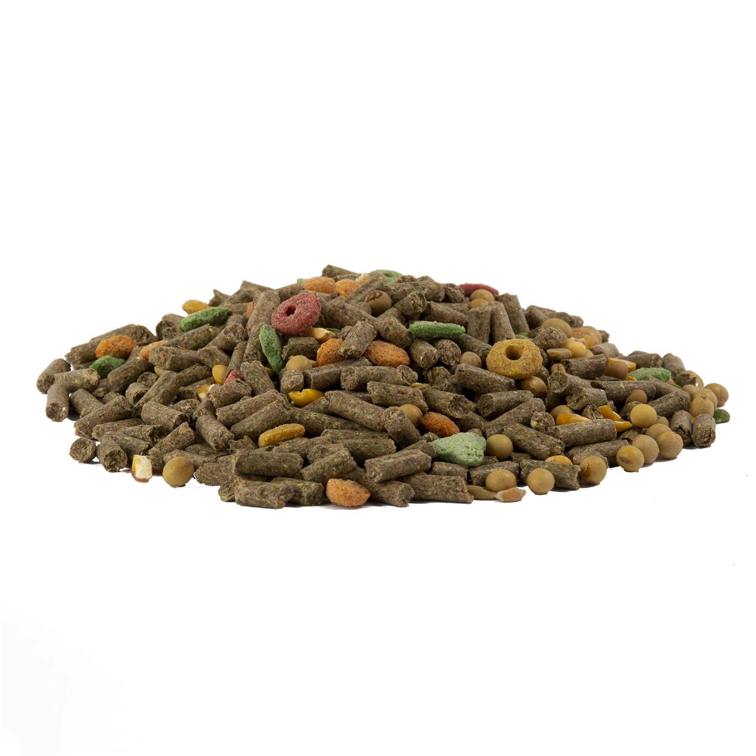 Alternative view of Wild Harvest Guinea Pig Advanced Nutrition Diet