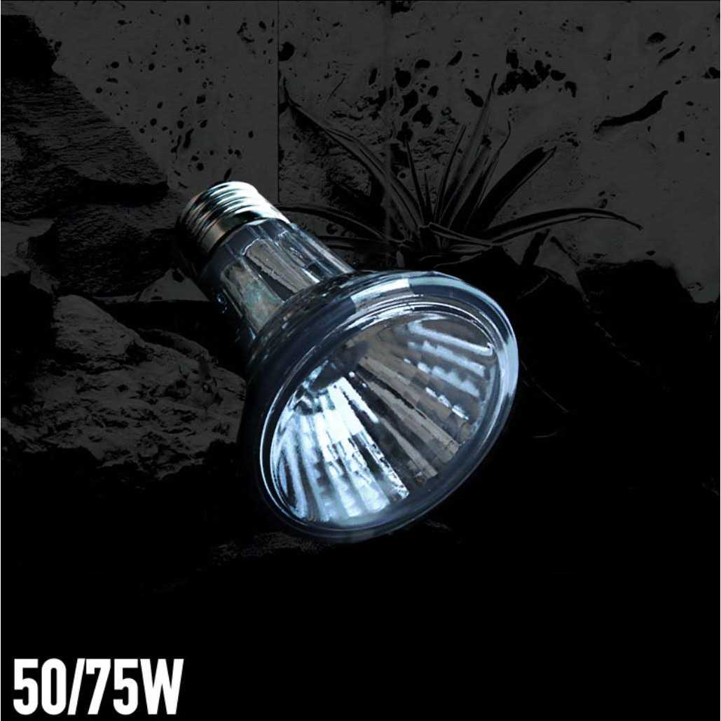 Alternative view of Arcadia Halogen Heat Lamp