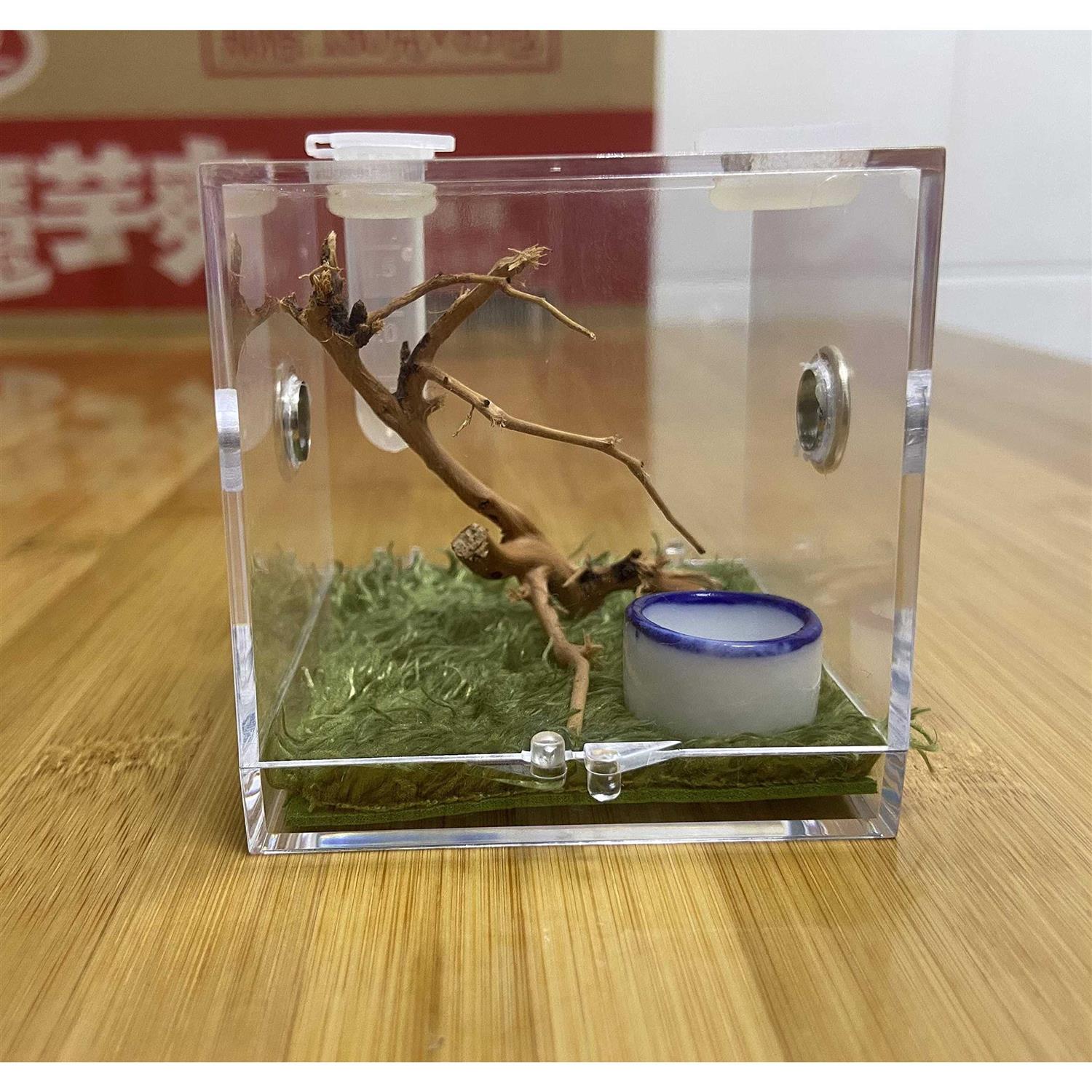 Alternative view of AWXZOM Spider Terrarium Acrylic Reptile Breeding Box Jumping Spider Enclosure with Dropper Tongs Snail cage