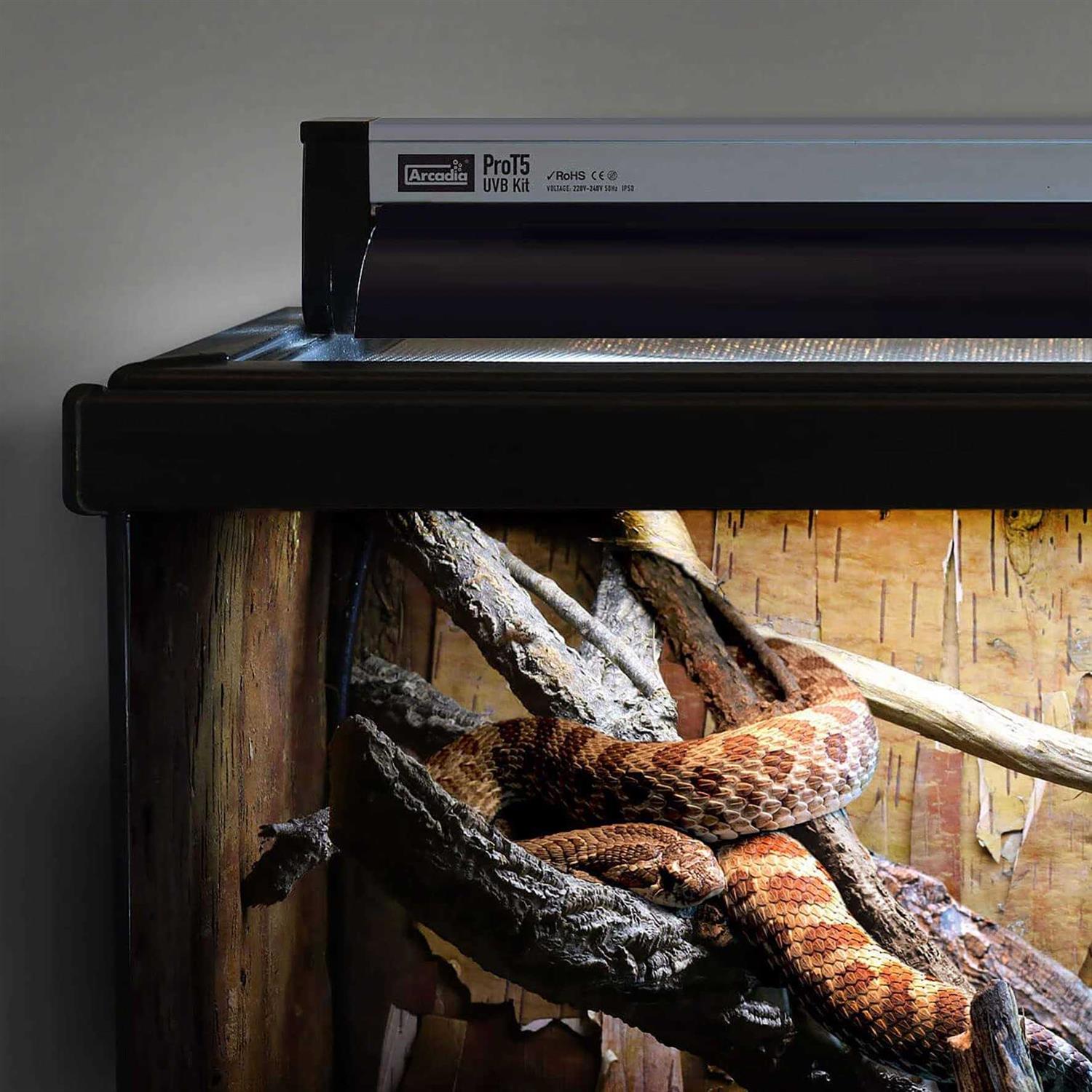Alternative view of Arcadia Reptile Pro T5 Forest 6% UVB 24 inch Lighting Kit for Reptiles