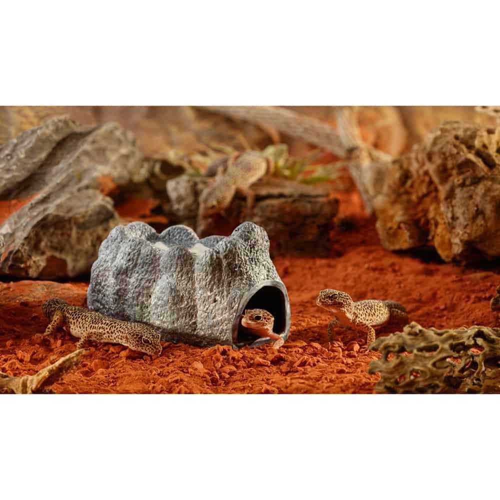 Alternative view of Exo Terra Wet Rock Cave