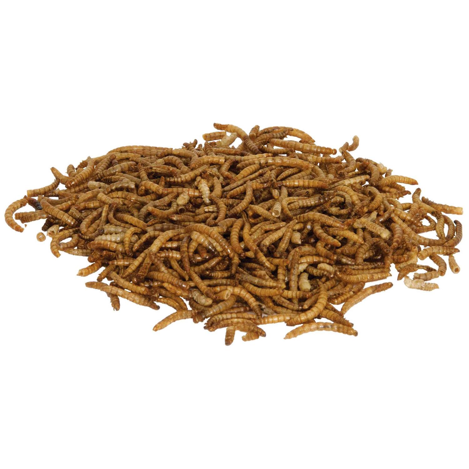 Alternative view of Zilla Munchies Mealworms Reptile