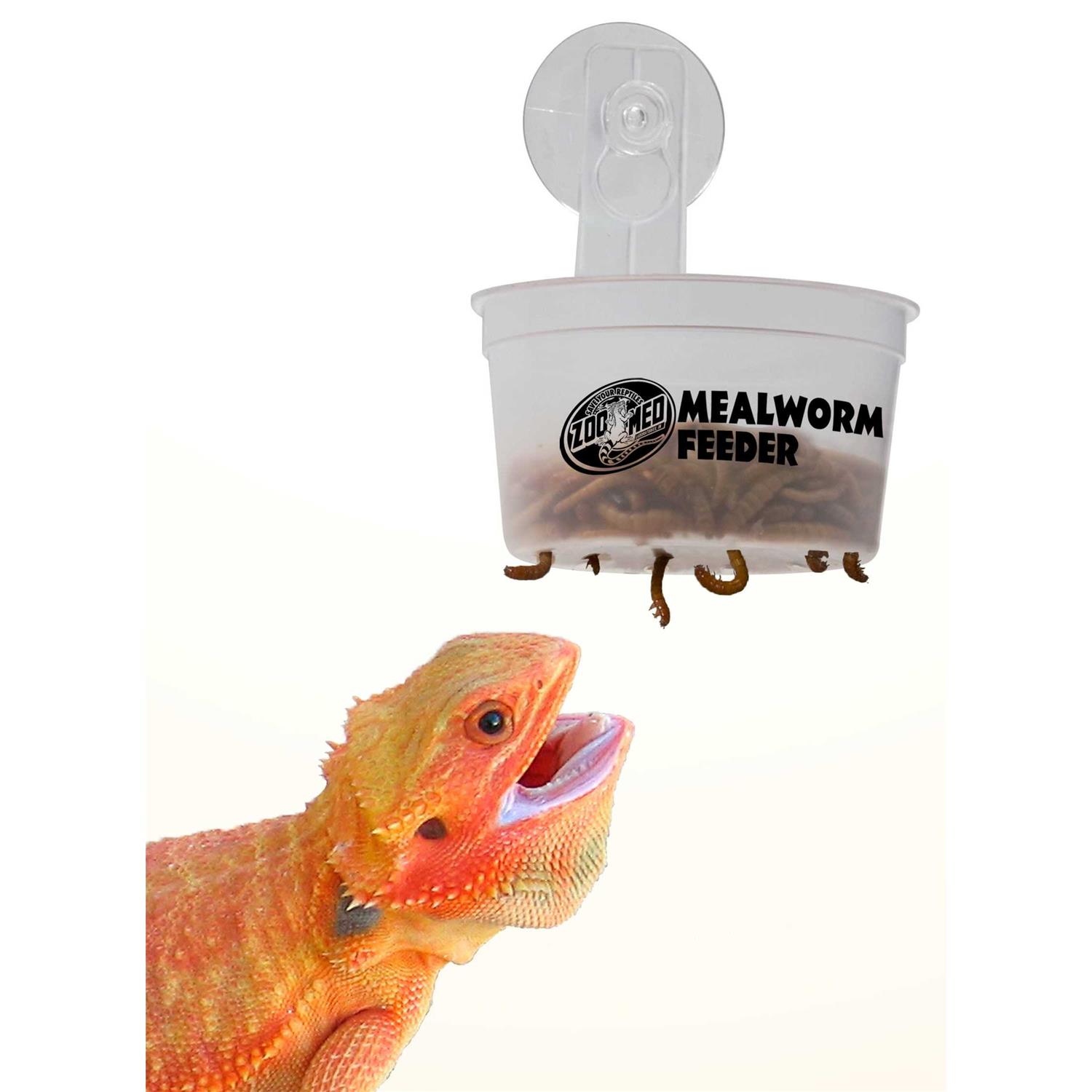 Alternative view of Zoo Med Hanging Mealworm Feeder