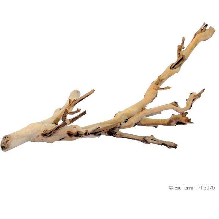 Alternative view of Exo Terra Forest Branch