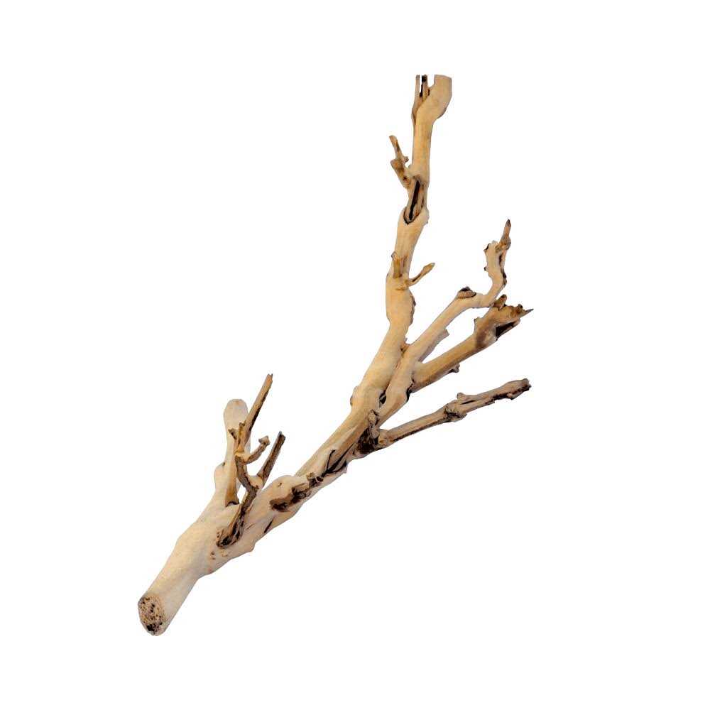 Alternative view of Exo Terra Forest Branch