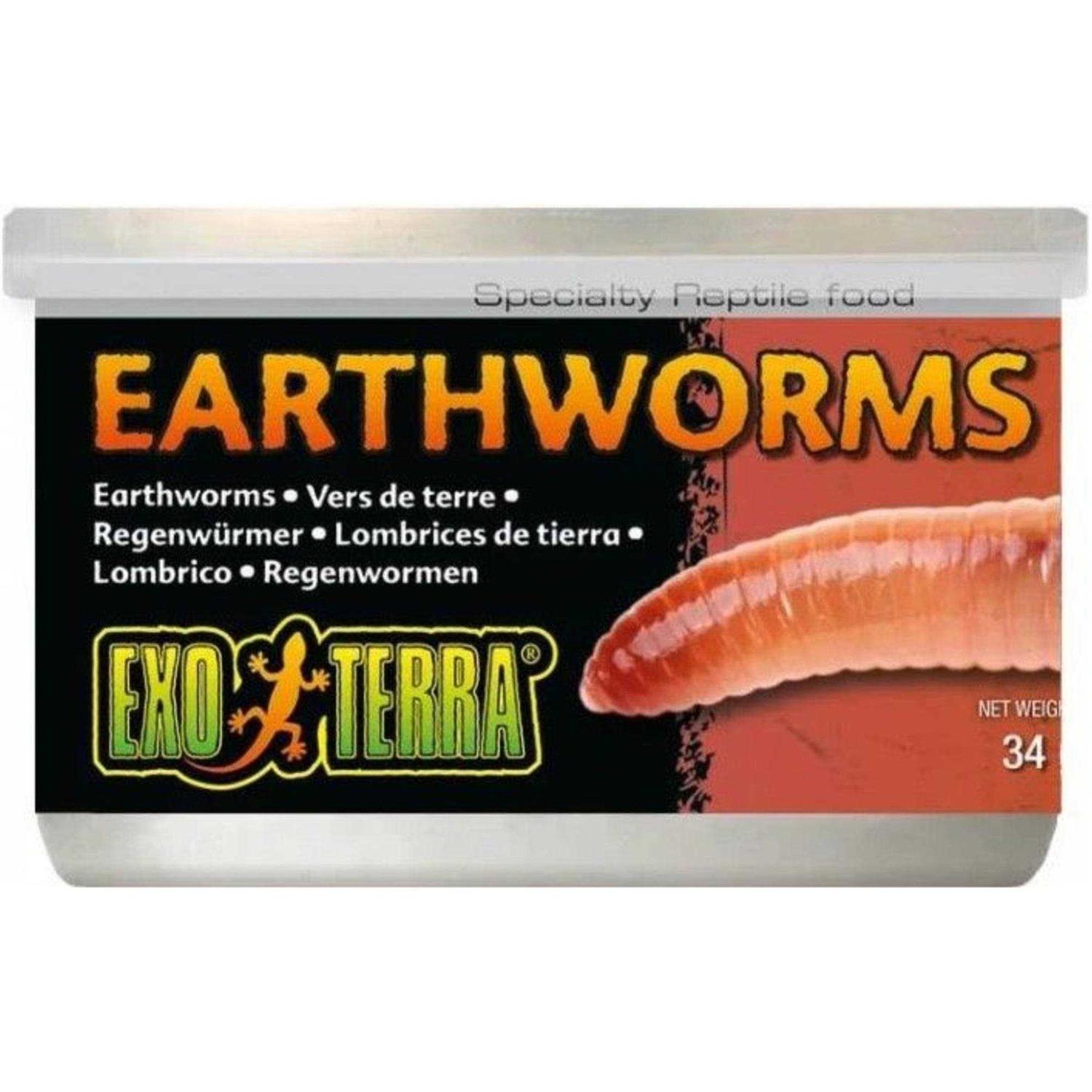 Exo Terra Canned Earthworms Specialty Reptile Food