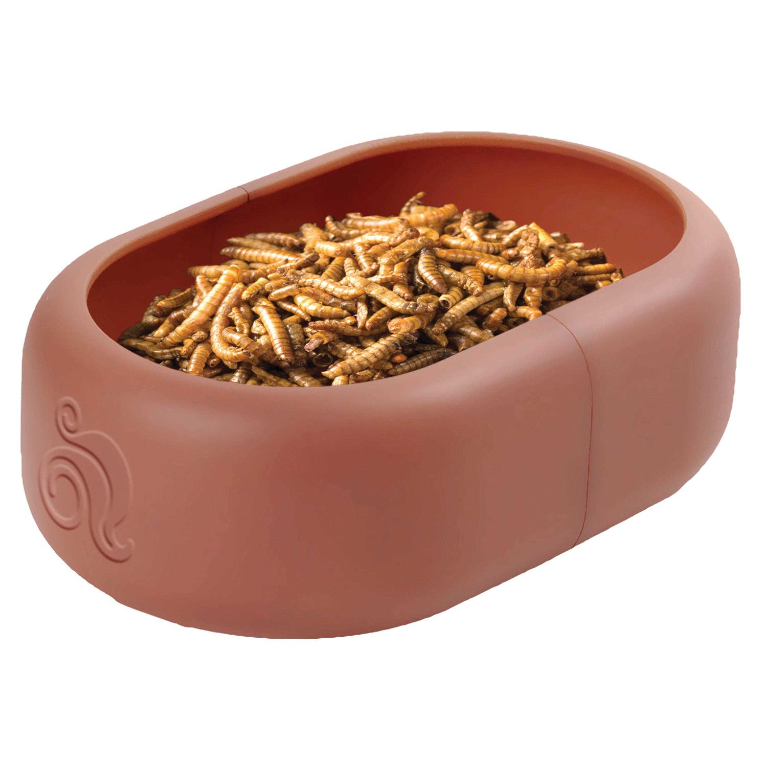 Alternative view of Komodo Smart Mealworm Reptile Feeding Dish for Aquarium or Reptile Tank