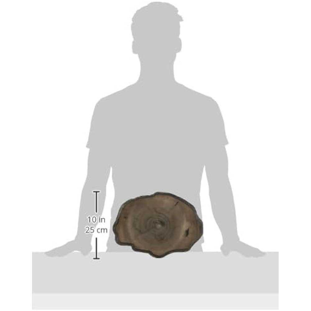 Alternative view of Zoo Med Repti Rock Food Dish