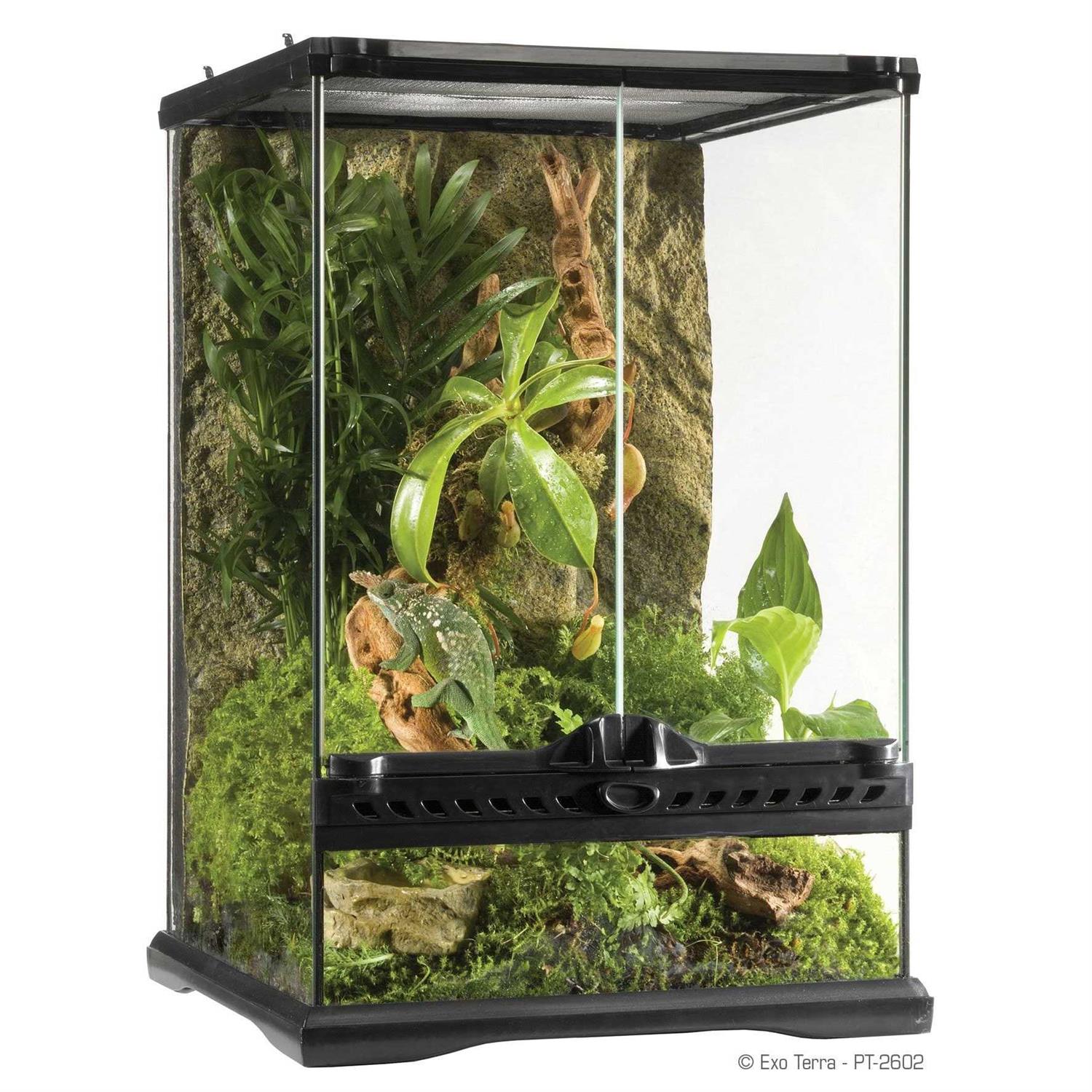 Exo Terra Glass Terrarium