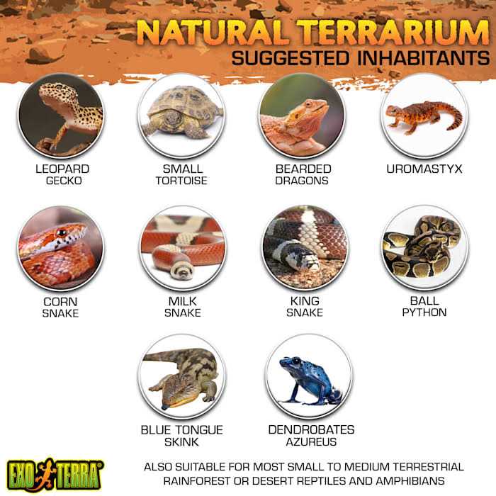 Alternative view of Exo Terra Glass Terrarium