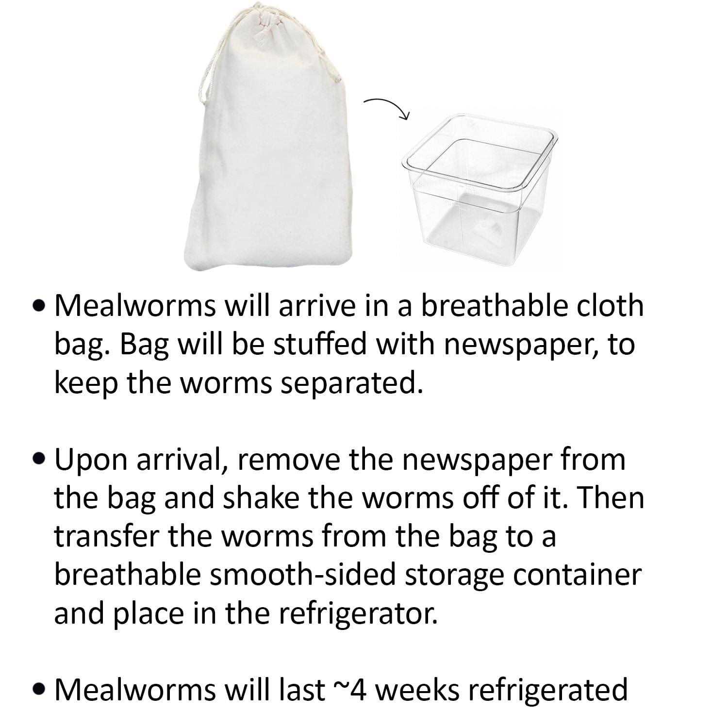 Alternative view of Exotic Nutrition Basic Mealworm Breeder Kit