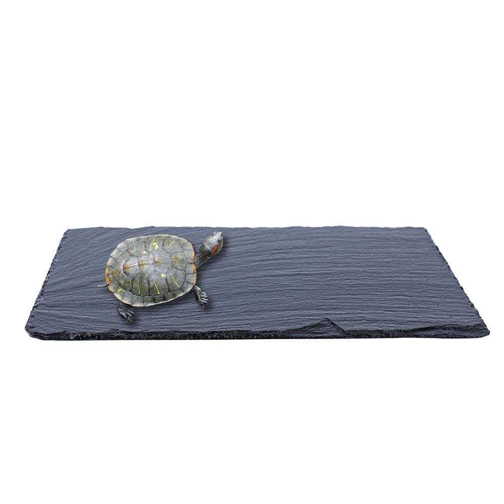 Alternative view of ACKEIVTO Small Slate Reptile Basking Platform Tortoise Feeding Dish Natural Rock Reptile Food Bowl Landscape Habitat Decor for Turtle Lizard Bearded