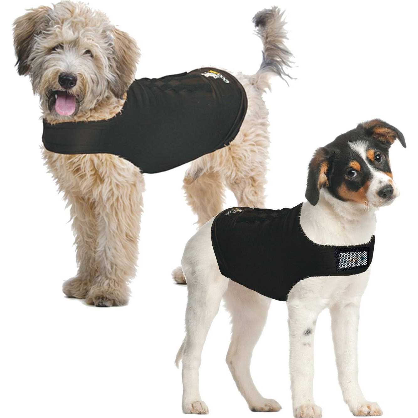 Alternative view of Flukers Cricket Fresh Feeder Vac Pack