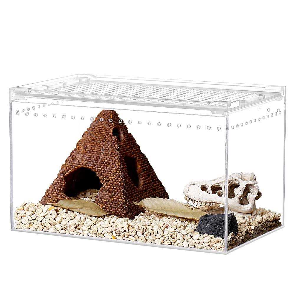 Alternative view of NANEEZOO Magnetic Acrylic Enclosure 10x6x6 Inch Tall Long Case Reptile Habitat Terrarium cage for Terrestrial Arboreal Tarantula Scorpion Sling
