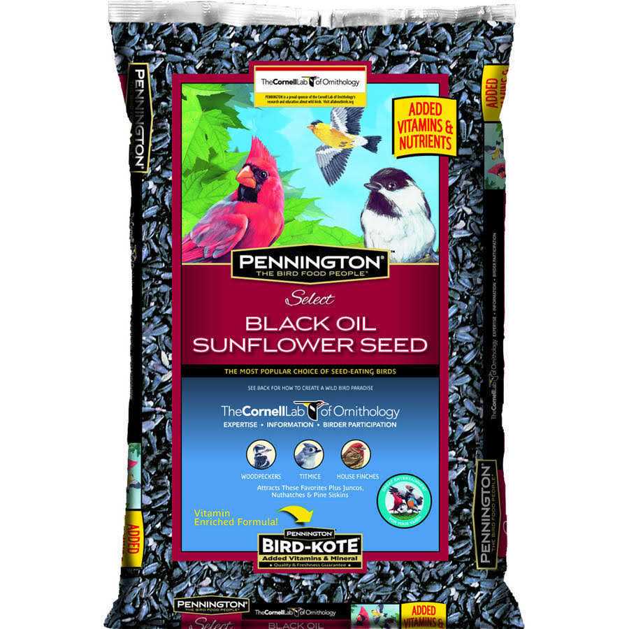Alternative view of Pennington Select Black Oil Sunflower Seed Wild Bird Feed