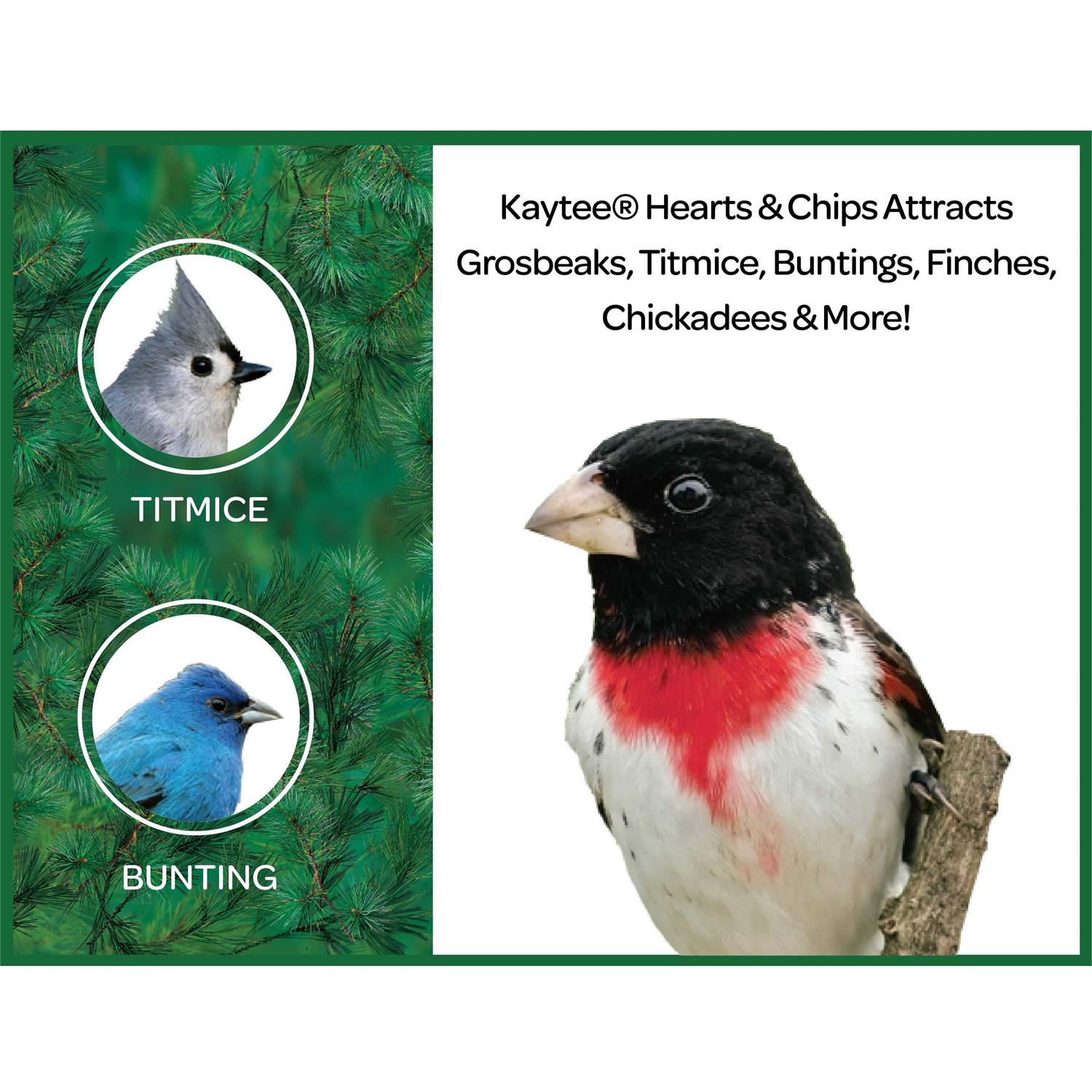 Alternative view of Kaytee Sunflower Hearts & Chips Wild Bird Food