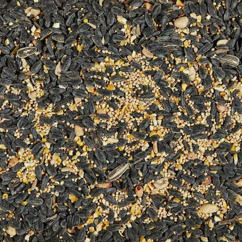 Alternative view of Kaytee Songbird Wild Bird Food