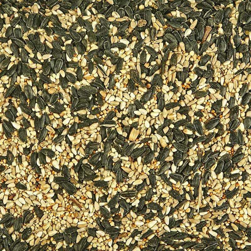 Alternative view of Kaytee Regional Blend Wild Bird Food