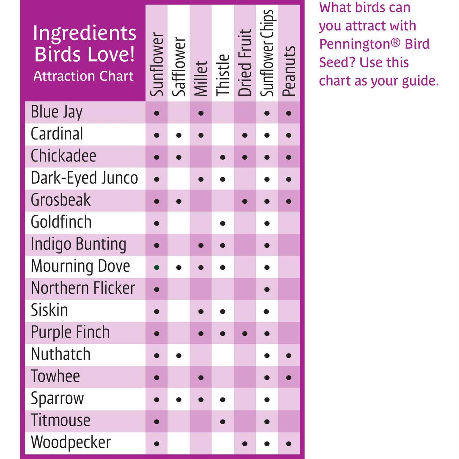 Alternative view of Pennington Ultra Fruit & Nut Blend Wild Bird Seed and Feed