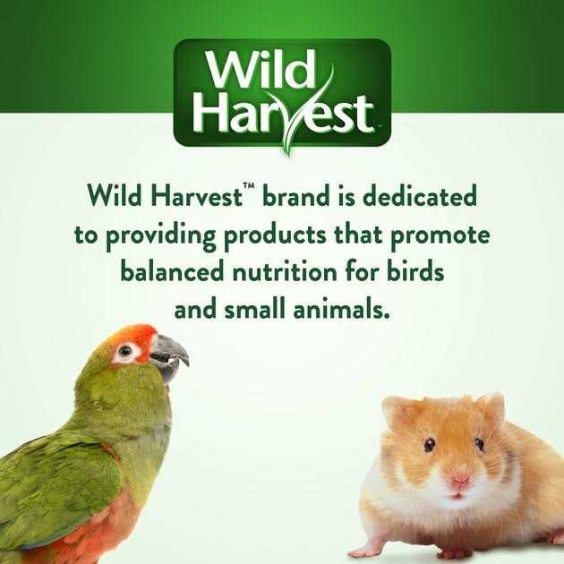 Alternative view of Wild Harvest Universal Blend Birds
