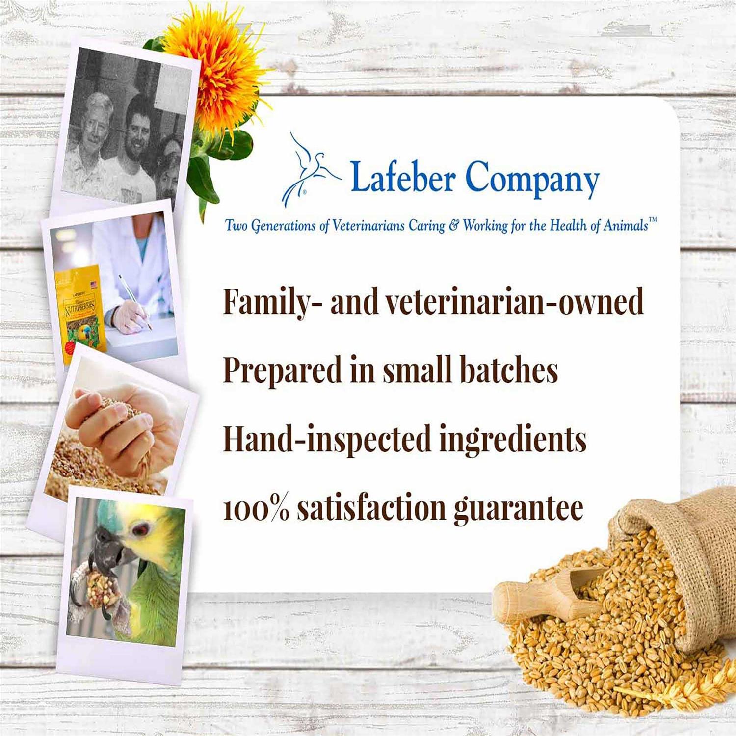 Alternative view of Lafeber Classic Nutri Berries Food