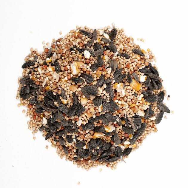 Alternative view of Wagner's Classic Wild Bird Food
