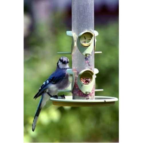 Alternative view of Wagner's Classic Wild Bird Food