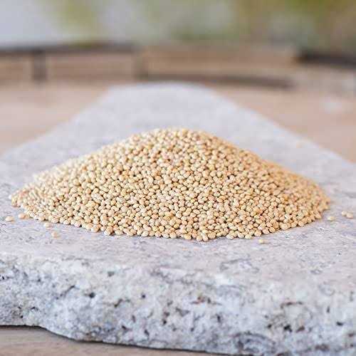 Alternative view of Desert Valley Supply Desert Valley Premium White Millet Proso Seeds