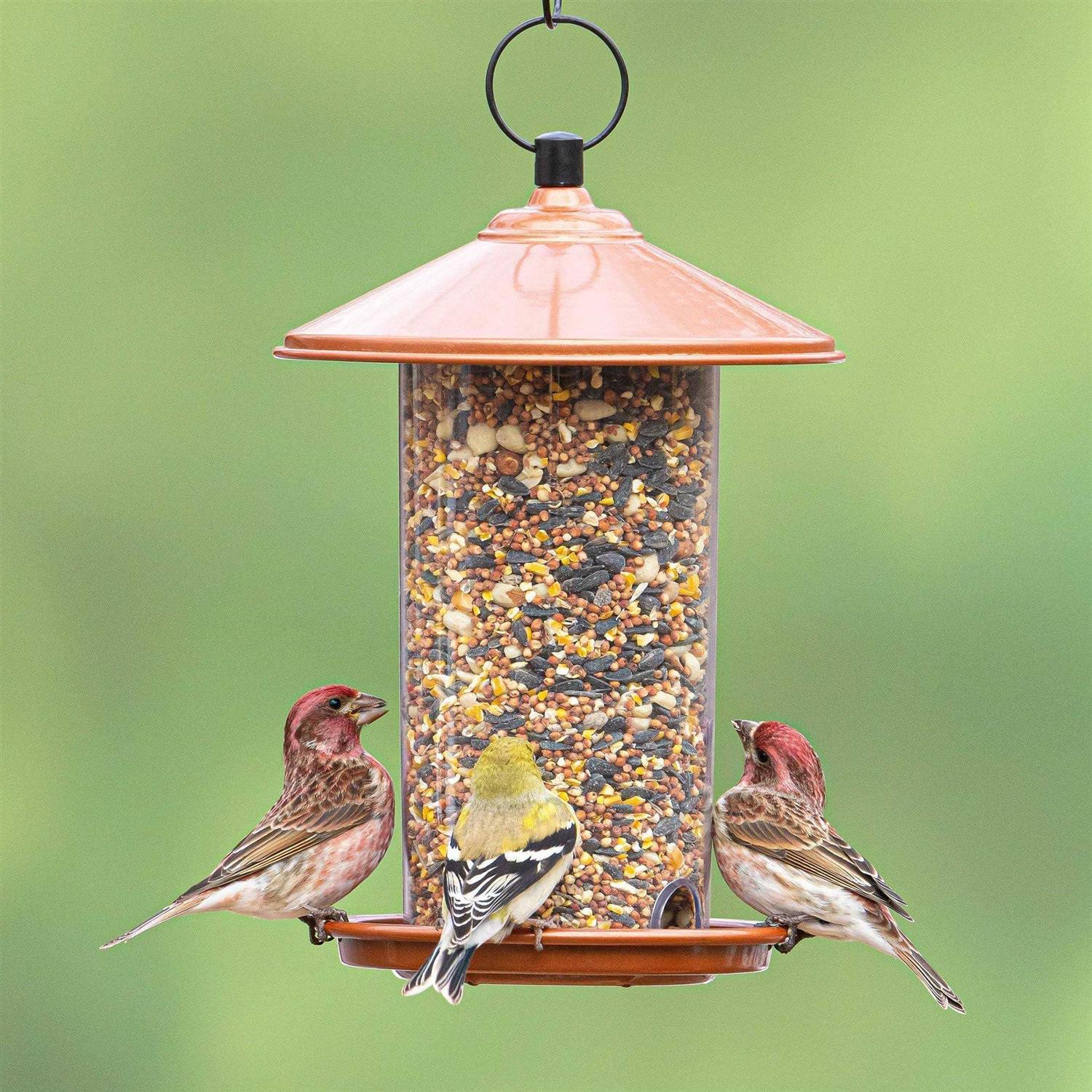 Alternative view of Global Harvest Food Audubon Peanut & Sunflower Wild Bird Feed