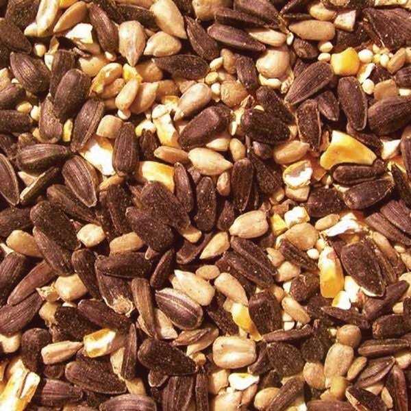 Alternative view of Cole's BH05 Blazing Hot Blend Bird Seed